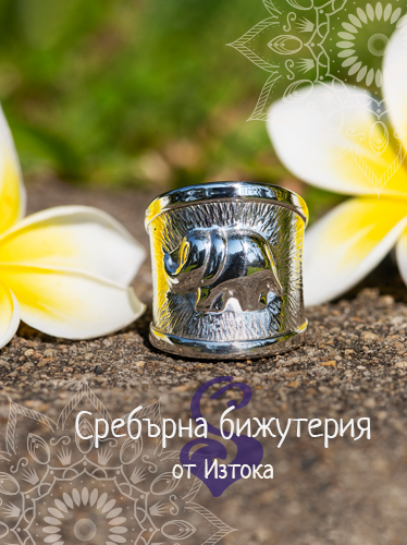 Сребърни обеци от Обичка